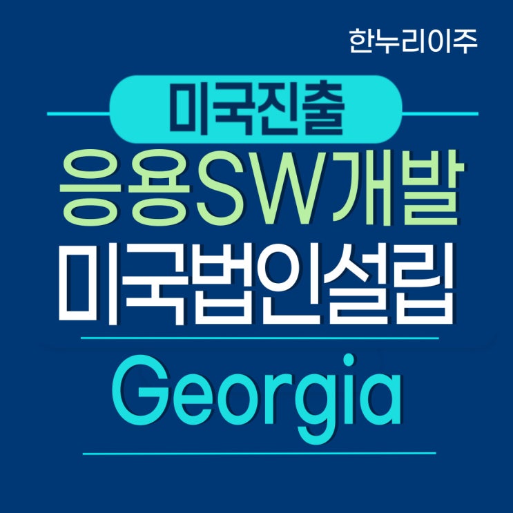  응용 소프트웨어 개발 및 공급업 - 조지아주 미국법인설립