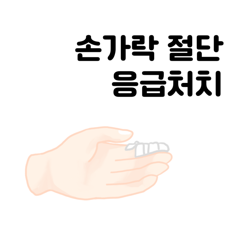  손가락 절단 응급처치 주의사항 알고 대처하기