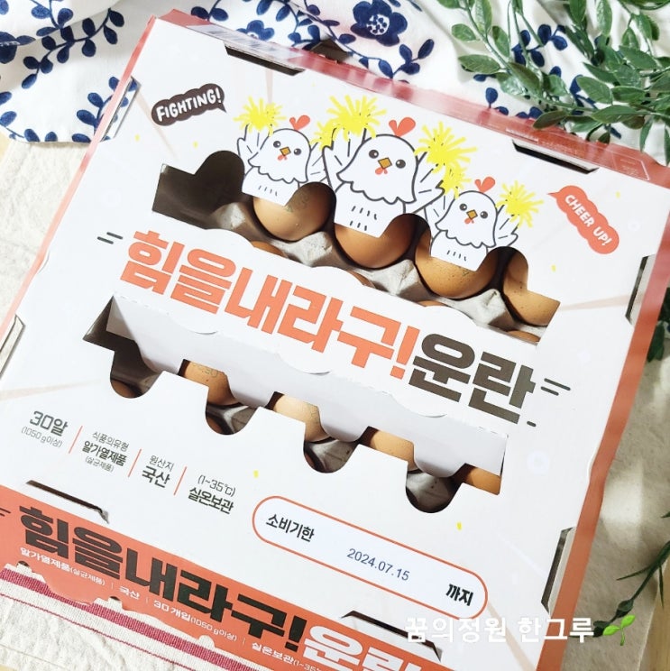  힘을내라 구운란 30구 다이어트 솔직후기 구운계란 보관 유통기한 영양성분 칼로리