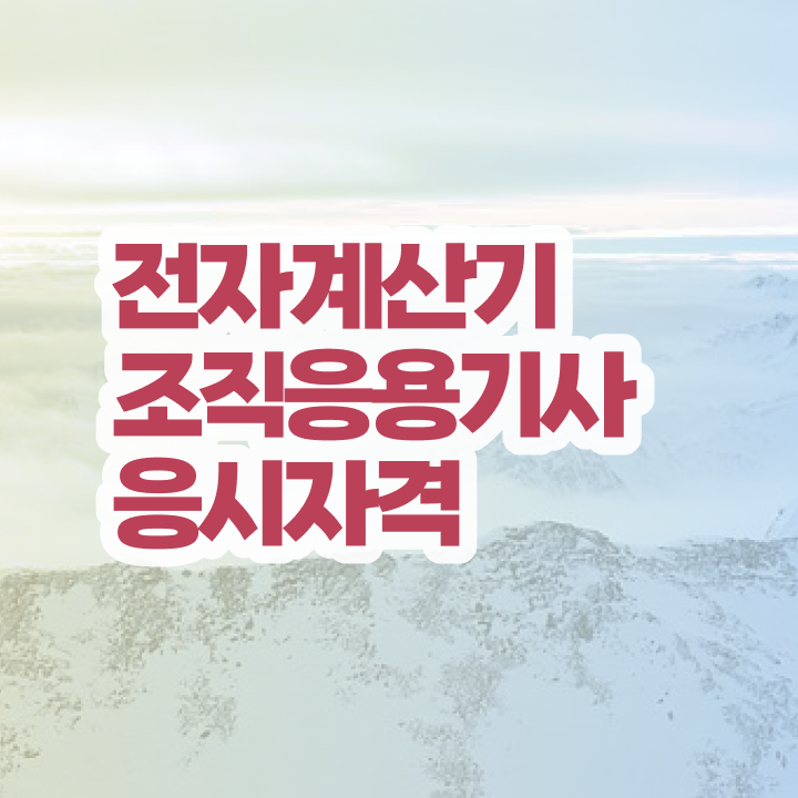  전자계산기조직응용기사 학점은행 전자계산기조직응용기사 취득자격 집에서 온라인으로 4달만에 준비한 후기