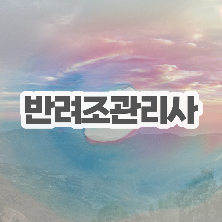  대구 앵무새 분양 , 반려조관리사 자격증 온라인으로 취득한 노하우 최단기간 취득한 과정