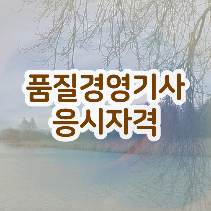  품질경영기사 필기 합격 품질경영기사 자격요건 온라인 수업으로 4개월 만에 끝낸 비법