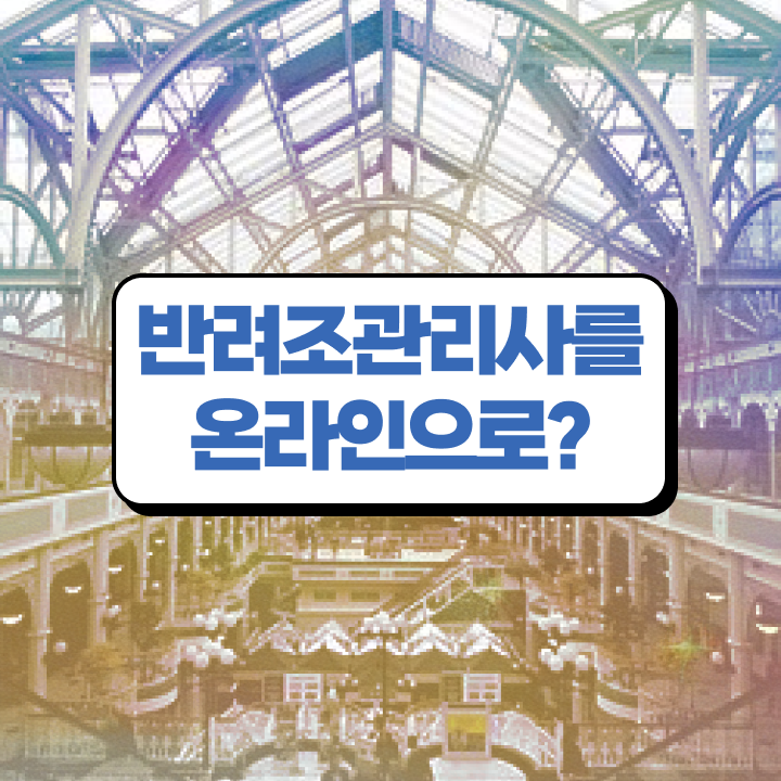  코뉴어앵무새가격 , 반려조관리사 자격증 20일 만에 취득한 정보 , 향후 전망