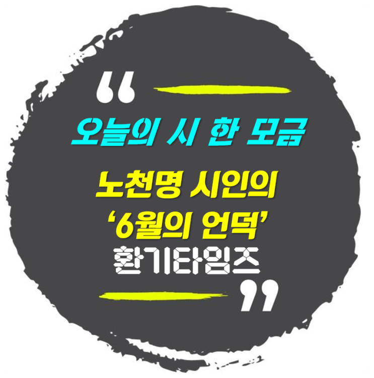 『오늘의 시 한 모금』_노천명 시인의 '6월의 언덕'_환기타임즈 『오늘의 시 한 모금』_노천명 시인의 '6월의 언덕'_환기타임즈