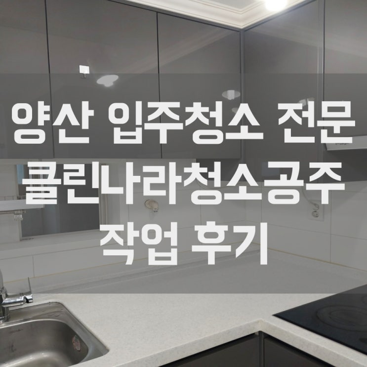  양산 입주청소 부산 울산 이사청소 역대급 오염 현장 난이도 최상