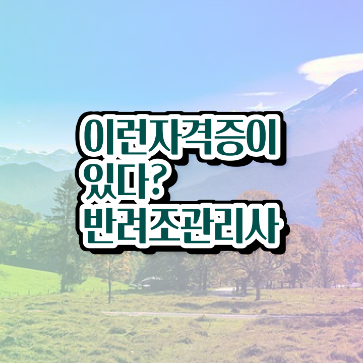  유리 앵무새 키우기 , 반려조관리사 자격증 응시자격 없이 학습한 후기 추천합니다