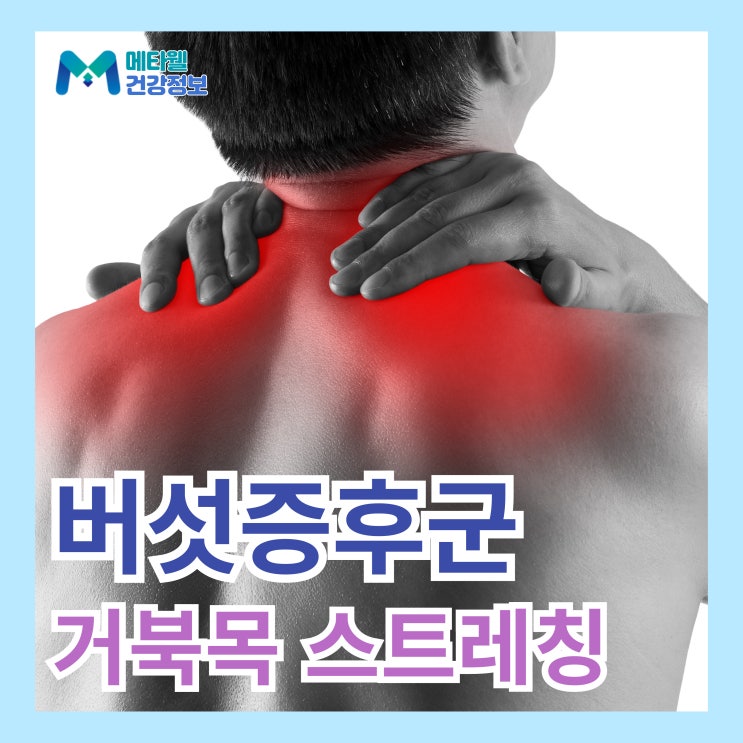  거북목 방치하면 버섯증후군? 스트레칭 교정 버섯목증후군 치료 목디스크 주의하세요