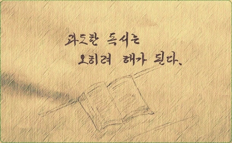  과도한 독서는 사고력에 독이 된다 - 《쇼펜하우어의 인생수업》 해설 (69)