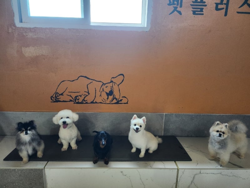 사진 7