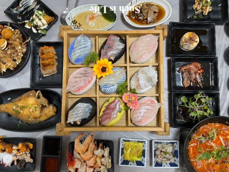 속초 동명항 애견동반 가능 물회 회포장 맛집 신가횟집