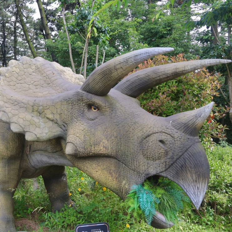  부산 송도 놀거리 데이트코스 암남공원 공룡 용궁구름다리 해상케이블카 전망대 포토존