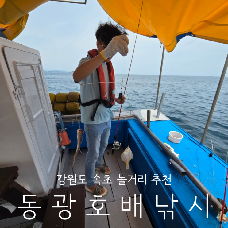  강원도 놀거리 액티비티 속초배낚시 가자미 2시간 체험 동광호배낚시