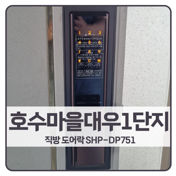  [일산 도어락 설치]일산동구 장항동 호수마을대우1단지아파트 직방 도어락 DP751