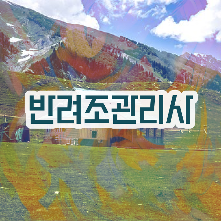  코뉴어앵무새분양 , 반려조관리사 자격증 온라인으로 쉽게 합격한 비법 , 활용 방법