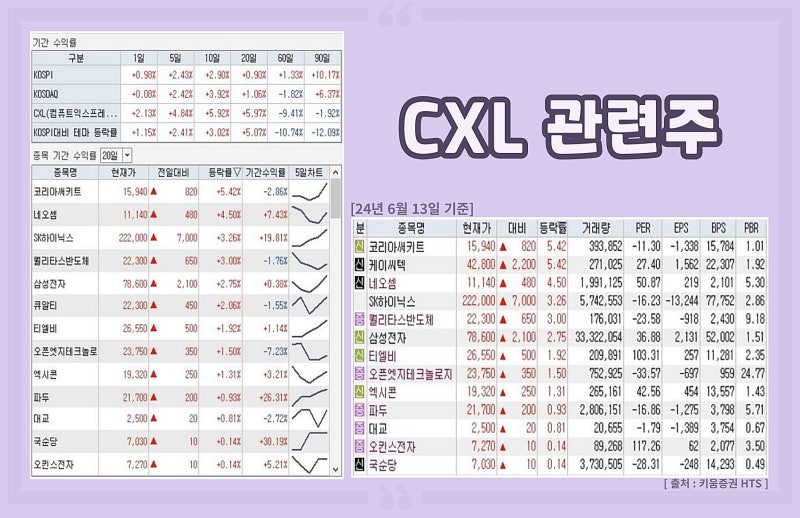 CXL 관련 주식이 선두주자이며 주목을 받는 이유