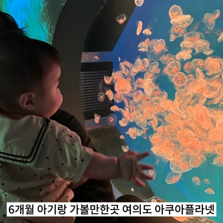  6개월 아기랑 가볼만한곳 여의도 아쿠아플라넷 문닫기전에 다녀오기