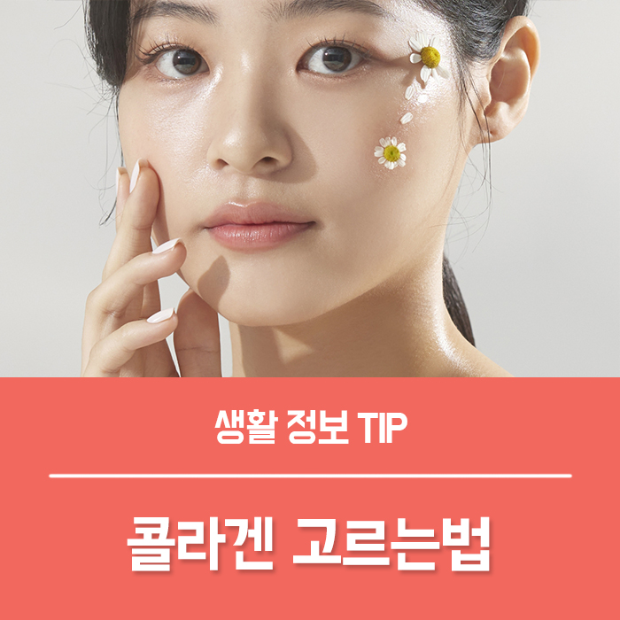  저분자 피쉬콜라겐 효능 제대로 고르셔야 돼요!