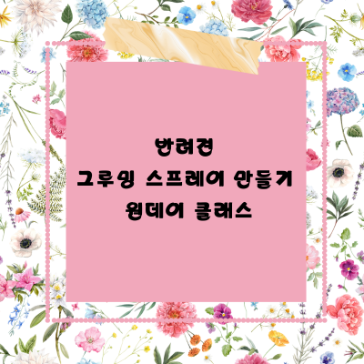  반려견 그루밍 스프레이 만들기 원 데이 클래스 참여하고 펫 아로마 테라피 하세요