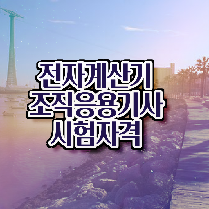  전자계산기조직응용기사 시험응시조건 온라인 수업으로 4개월 만에 준비한 전략