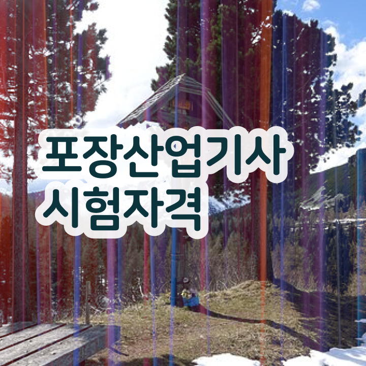  포장산업기사 시험자격 집에서 온라인으로 빠르게 성공한 방법