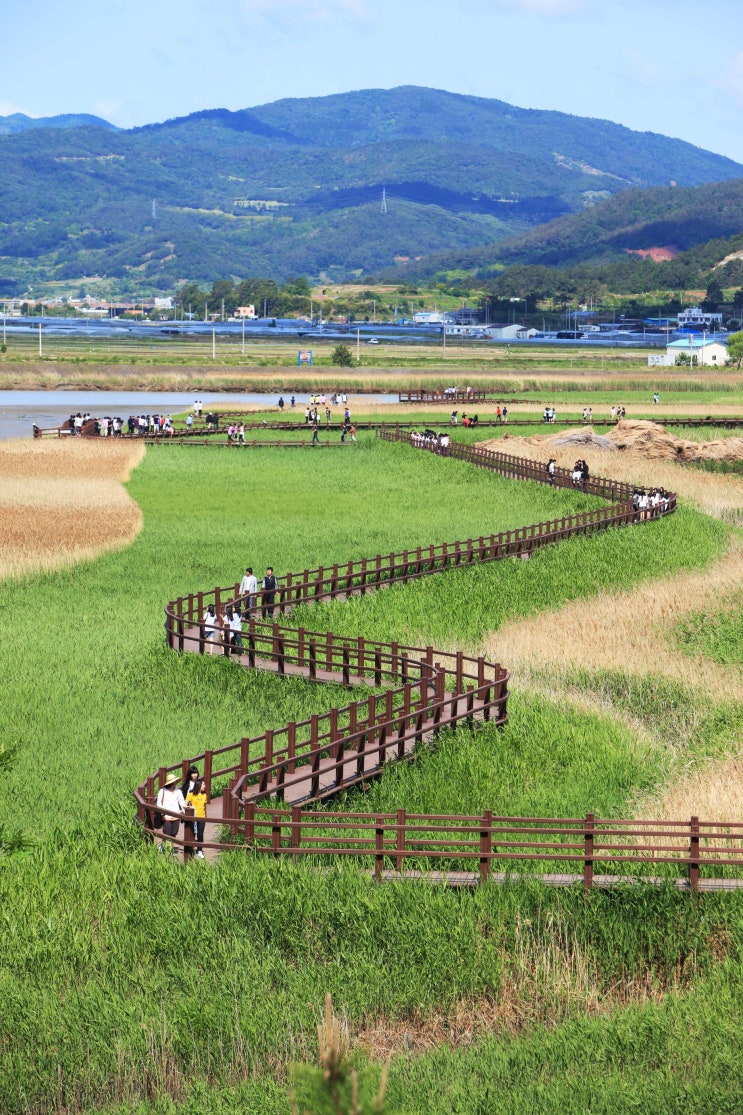  [전남/순천]순천만 습지 대한민국 10대 낙조. 자연이 숨쉬는 곳.