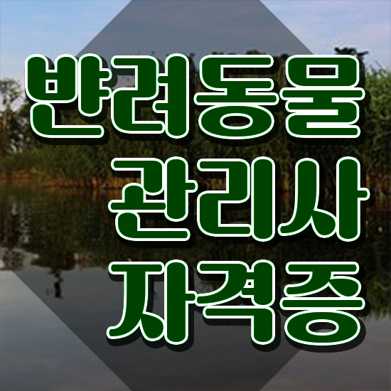  강아지 훈련사 자격증 , 반려동물관리사 자격증 직장인도 쉽게 취득한 방법 준비했어요