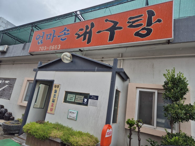  [부산 2박 3일 여행] 연예인 맛집 현지인 맛집 엄마손 대구탕 돼지고기 묵은지 솔직후기