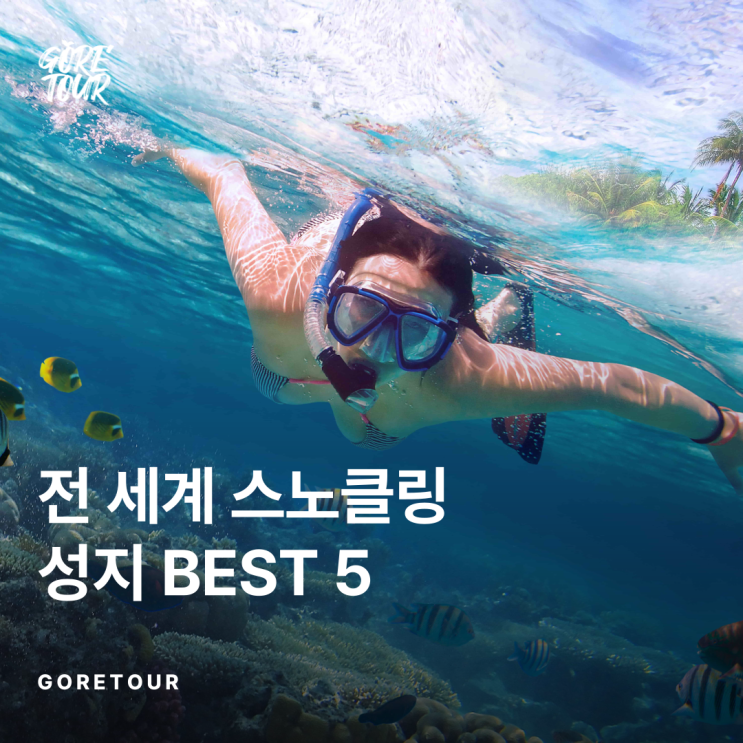  한 번쯤은 가보고 싶은 전 세계 스노클링 성지 BEST 5 