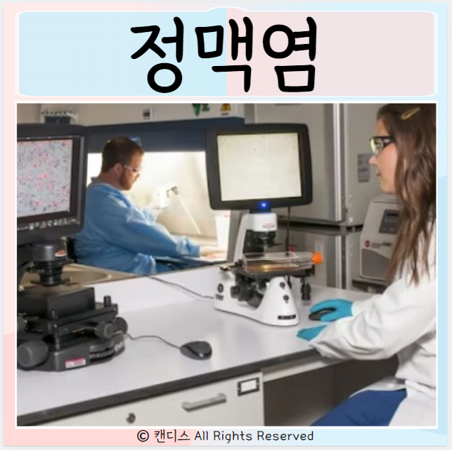  정맥염 원인 종류 증상 치료방법