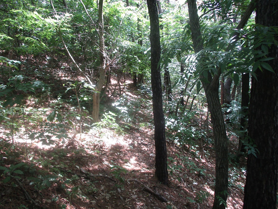 Saengiwolsan photo 4