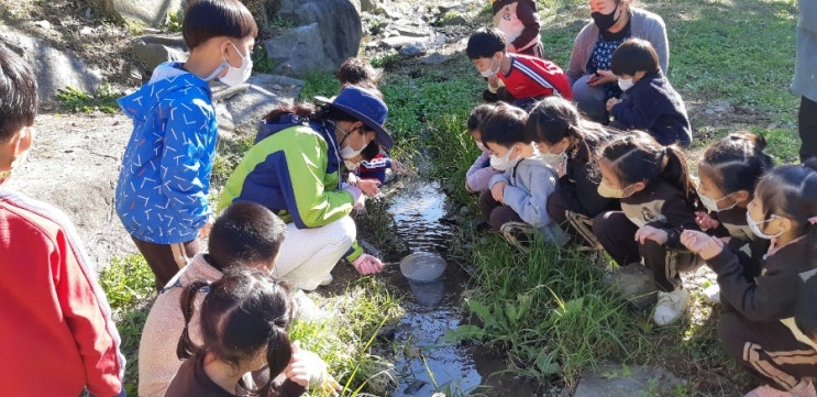  증평 별천지숲인성학교, 아이ㆍ부모들에게 인기