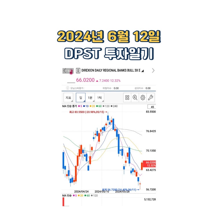  2024년 6월 12일 DPST YINN 투자일기