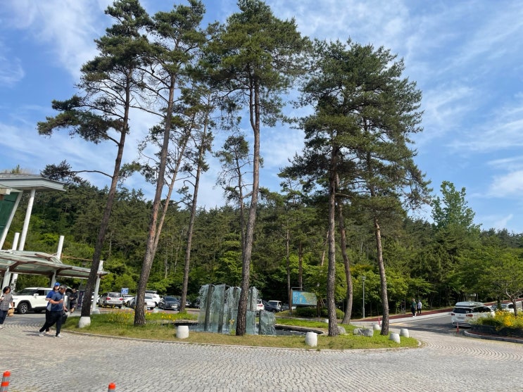  서울시 공무원 연수원 ; 서천 연수원 B형 후기!