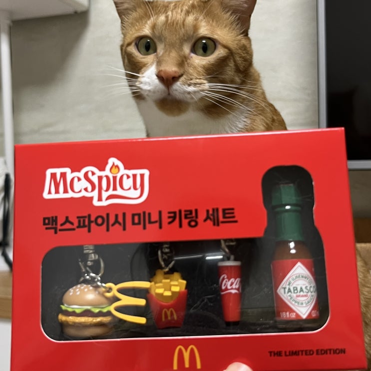  맥도날드 키링 맥스파이시 상하이버거 할인쿠폰