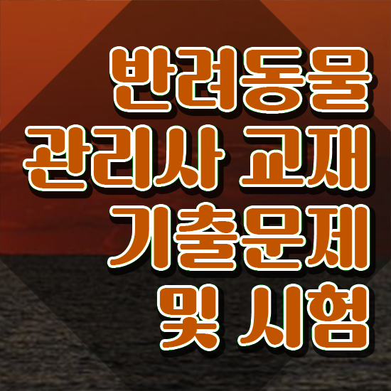  강아지 훈련사 비용 , 반려동물관리사 자격증 준비한 과정 소개합니다