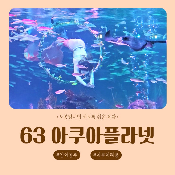  63 아쿠아플라넷 인어공주 입장권 주차 할인 전망대 아기랑 서울 실내 갈만한 곳
