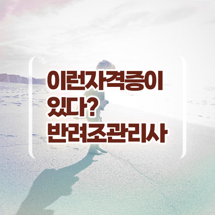 코뉴어 앵무새 종류 , 반려조관리사 자격증 쉽고 간편하게 취득한 방법 확인하세요