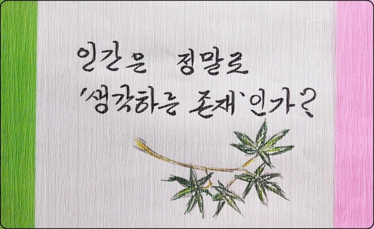  인간은 정말로 ’생각하는 존재‘인가? - 《쇼펜하우어의 인생수업》 해설 (73)