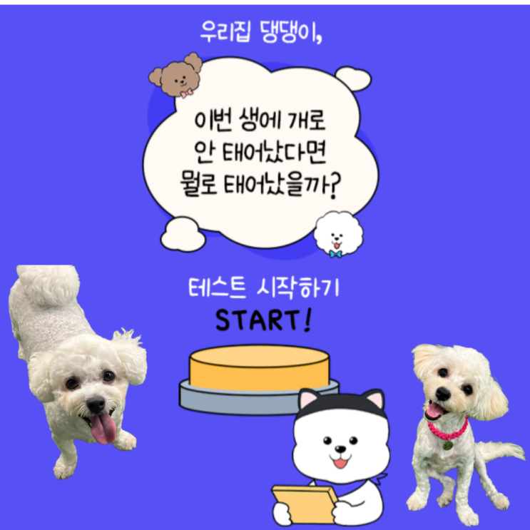  포동 서포터즈 7기 강아지 성격 테스트 우리집 댕댕이 강아지로 안 태어났으면 뭘로 태어났을까?