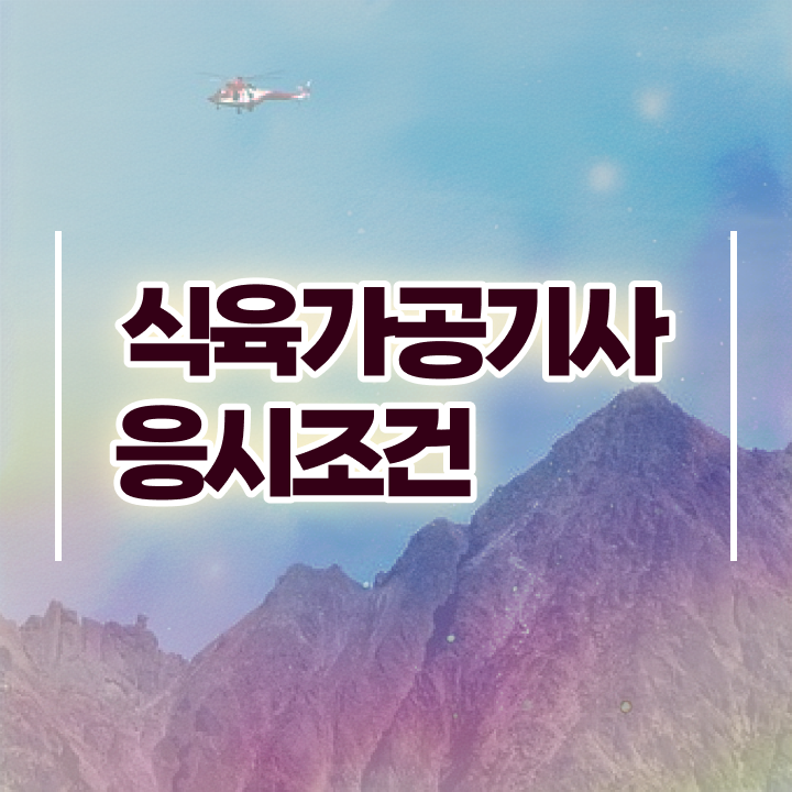  식육가공기사 자격요건 인강으로 15주 동안 준비한 전략