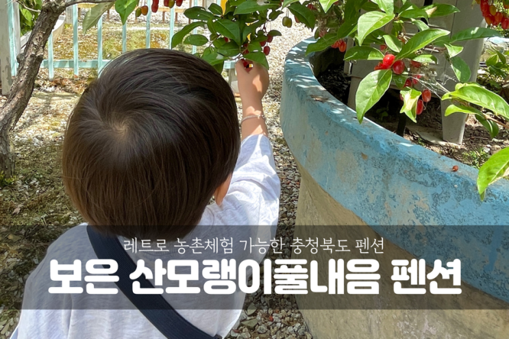 [충북 보은 여행] 32개월 아기 레트로 농촌 체험 가능한 산모랭이풀내음 펜션