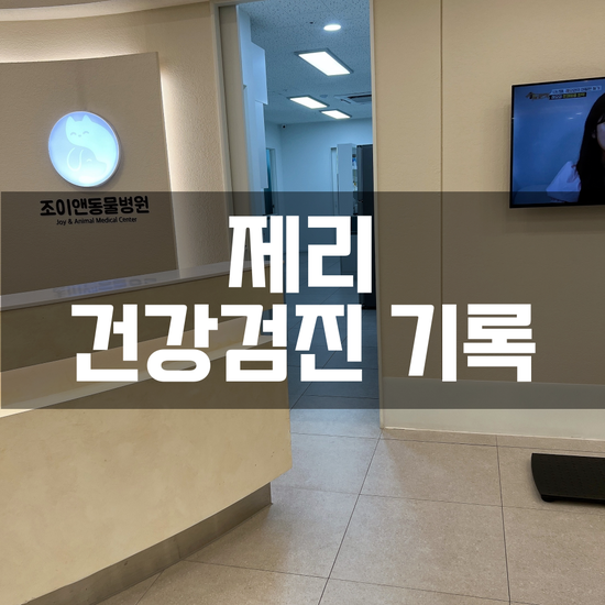  [진료기록] 둘째 제리 9살 건강검진 기록! - 조이앤동물병원