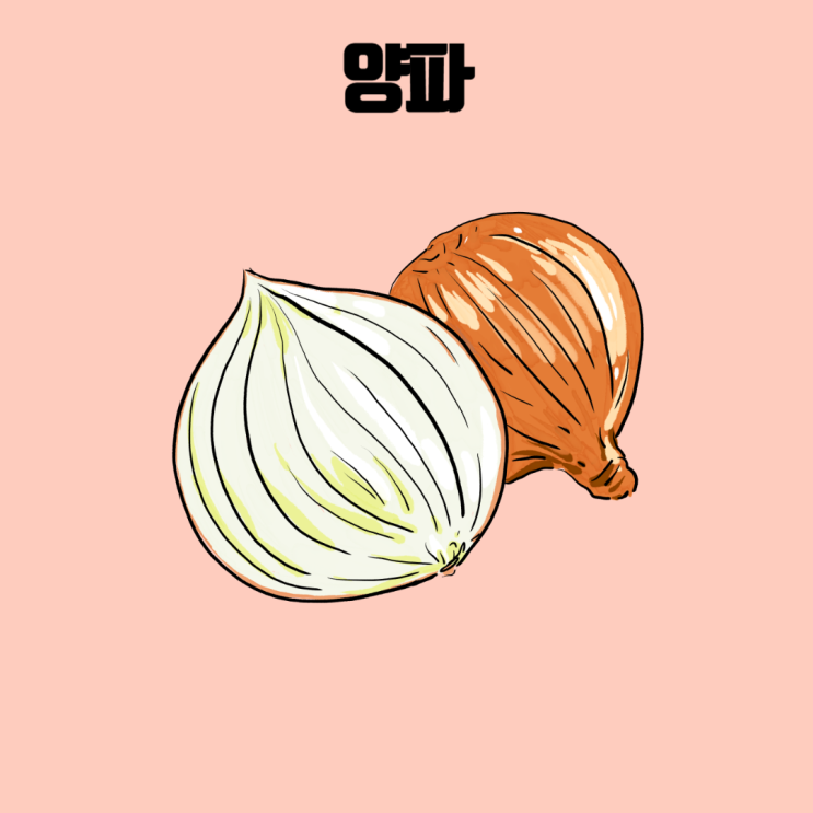  양파의 놀라운 건강 효능, 이것만 알면 당신도 건강해질 수 있다!