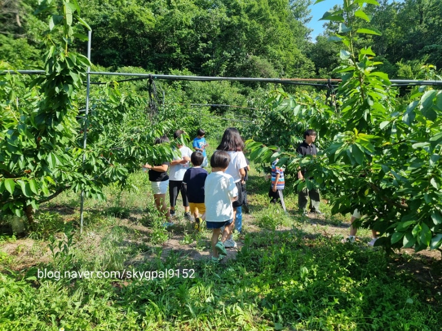 물방아골 사진 1