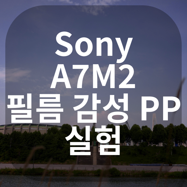  Sony A7M2 필름 감성 세팅 테스트 #1