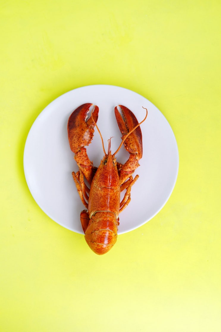  다낭 랍스타 맛집 크레이피시 말고 집게발 랍스타 해산물 다낭 기념일 음식점 다낭 카나디안 랍스타