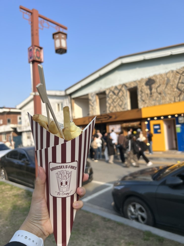  수원 행궁동 감자튀김 맛집 브뤼셀프라이