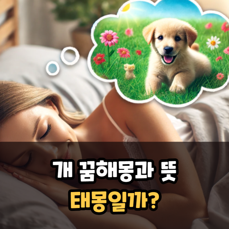  개 꿈해몽 태몽인지 뜻 알아보기