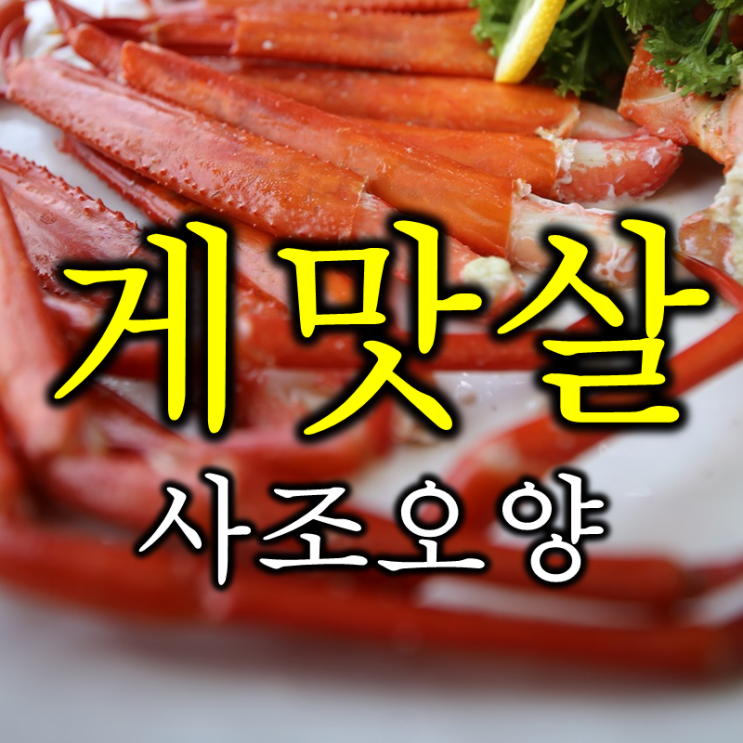  게맛살로 유명한 수산주 테마주 사조오양 주가 배당 및 실적
