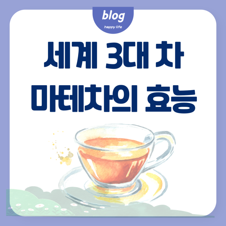  마테차의 효능, 부작용 카페인에 대해 알아보기!